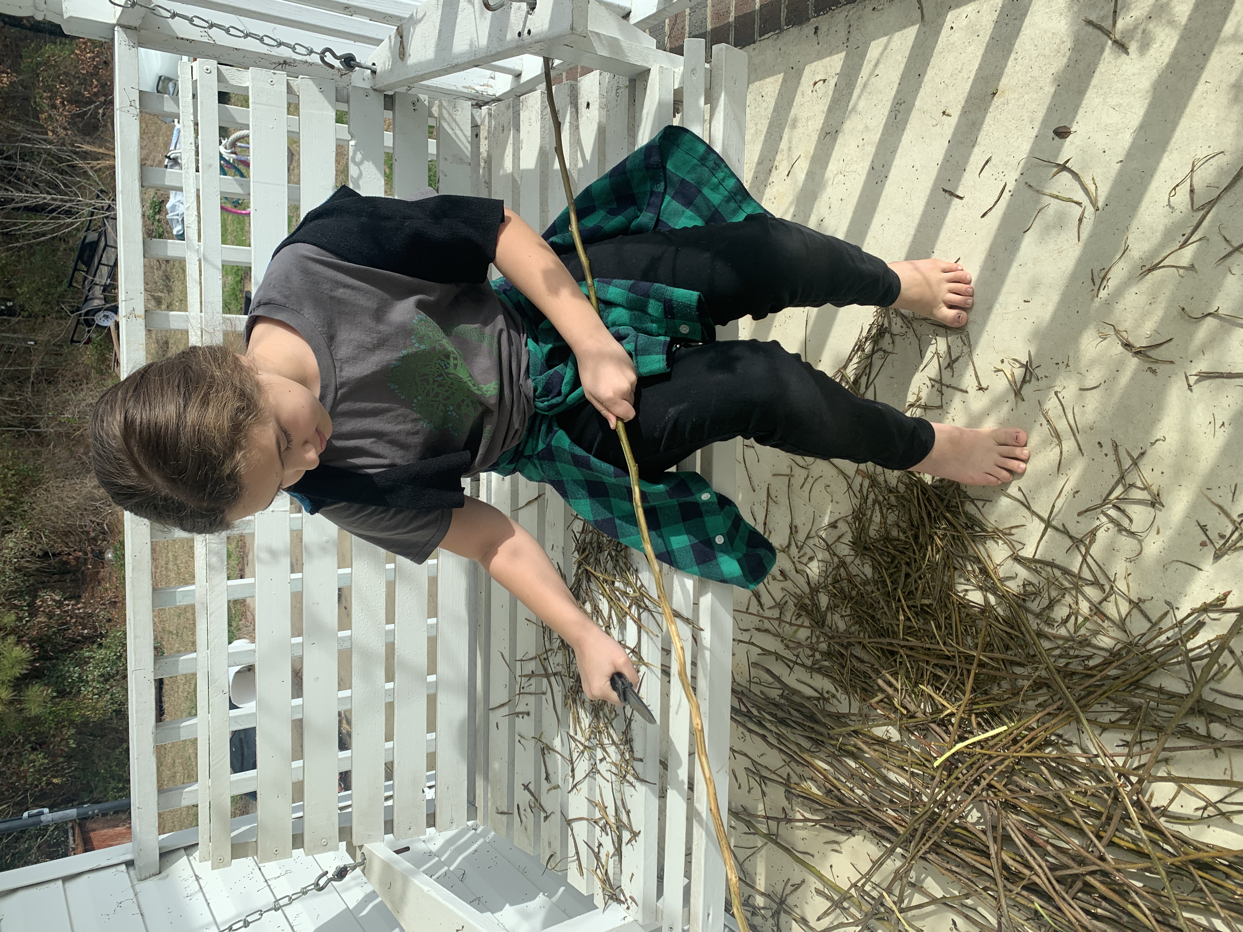 pruning